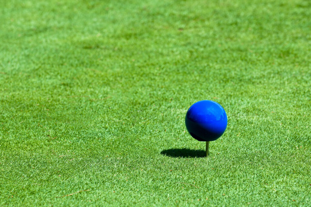 Blue Golf Tee Marker